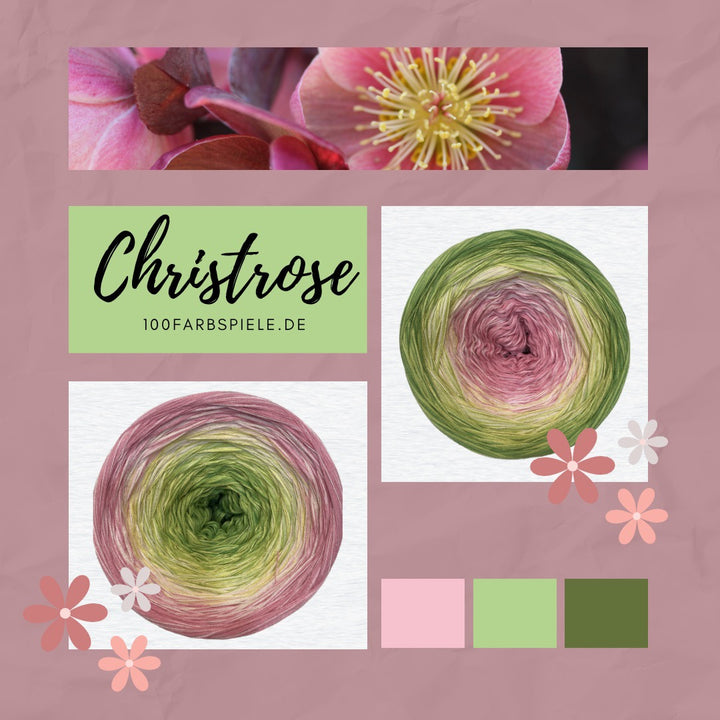 100 jeux de couleurs Classic&amp;PREMIUM ** Rose de Noël